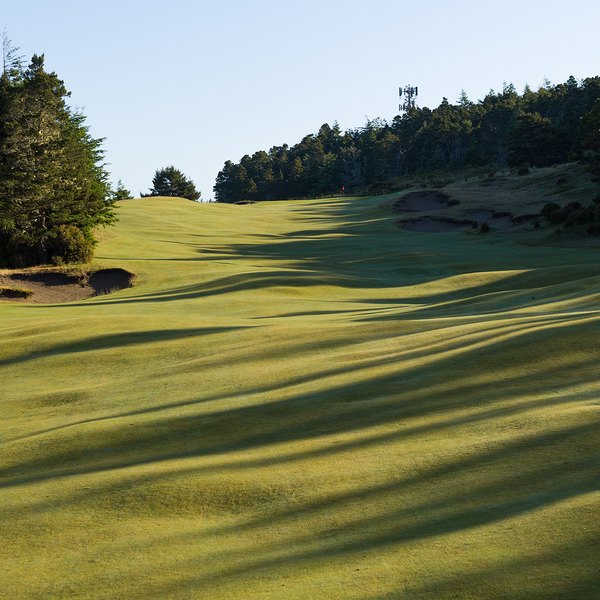 Bandon Trails